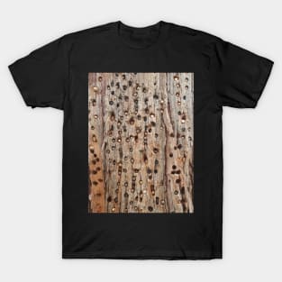 Palomar Acorn Pine Pantry T-Shirt